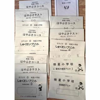 暁星小学校　夏　秋期直前　フルセット　ジャック　お茶の水　小学校受験　理英会(語学/参考書)