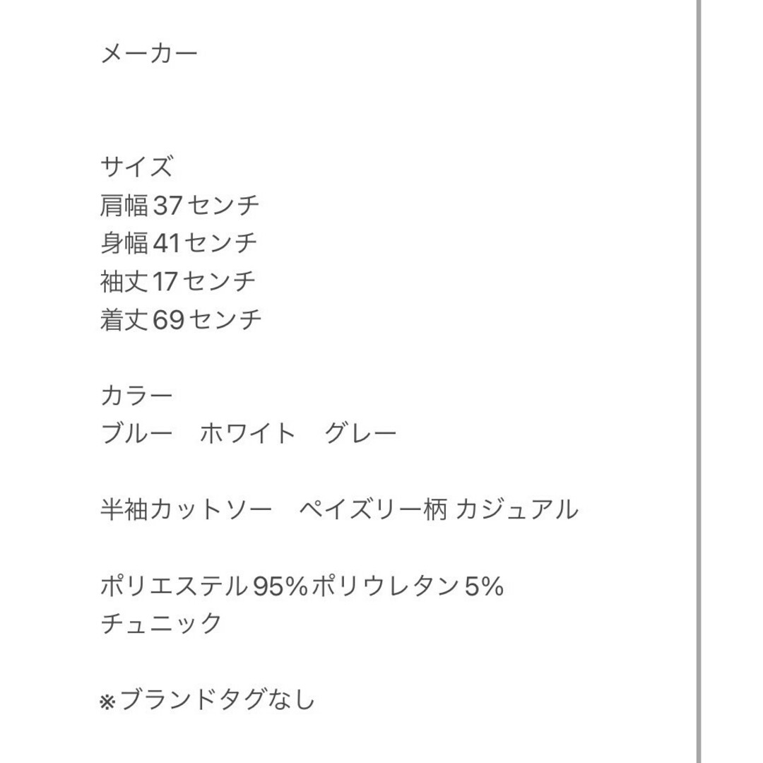 半袖カットソー L ベイズリー柄 カジュアルコーデ ブルー ※ブランドタグなし レディースのトップス(カットソー(半袖/袖なし))の商品写真