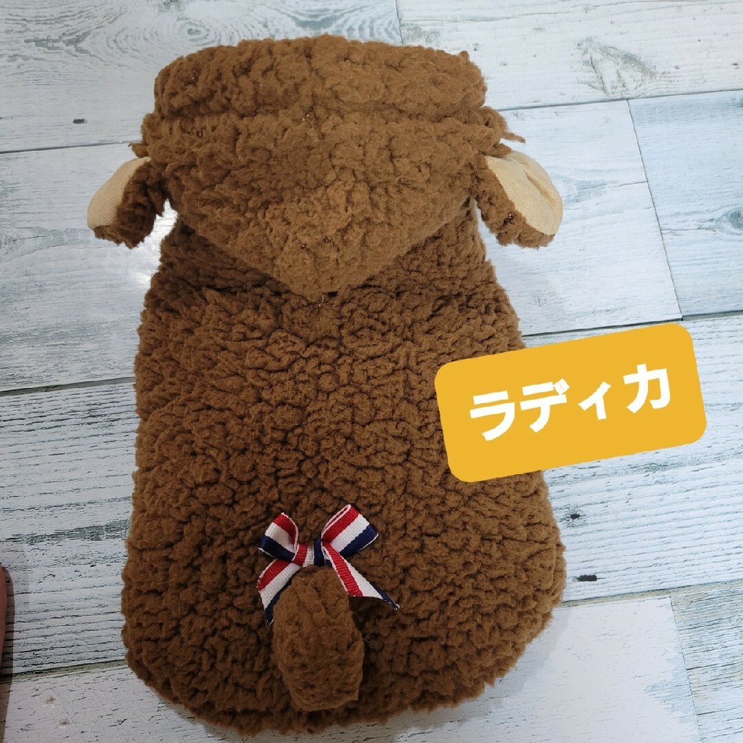 RADICA(ラディカ)の美品！RADICA（ラディカ）【もこもこおさるさんパーカー】サイズSS その他のペット用品(犬)の商品写真