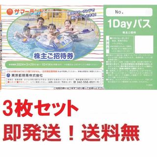 東京サマーランド株主優待フリーパス券３枚セット★夏休み可(プール)