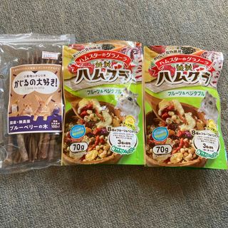 ハムスターごはん