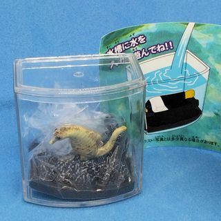 EPOCH - エポック社　カプセルトイ　アクアマリン水族館　シークレット　タツノオトシゴ