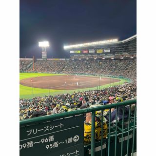 ハンシンタイガース(阪神タイガース)のＯＳ様専用！６月4日　楽天戦(野球)