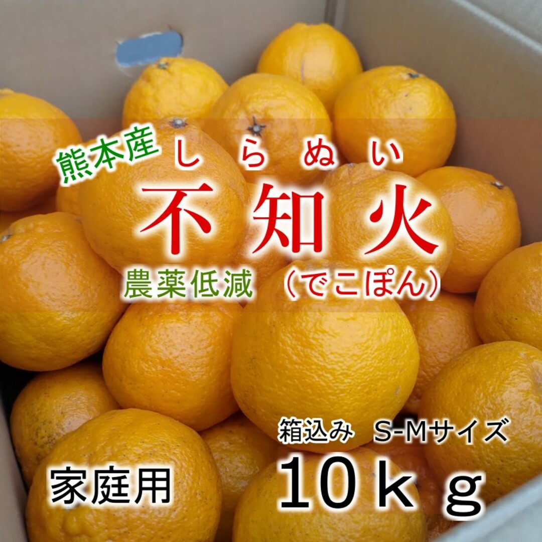 熊本県産 不知火(デコポン) 箱込み10kg S・Mサイズ 農薬低減 食品/飲料/酒の食品(フルーツ)の商品写真