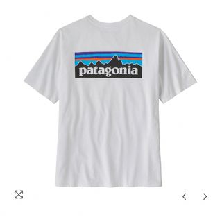 patagonia - ☺︎新品☺︎patagonia Tシャツ