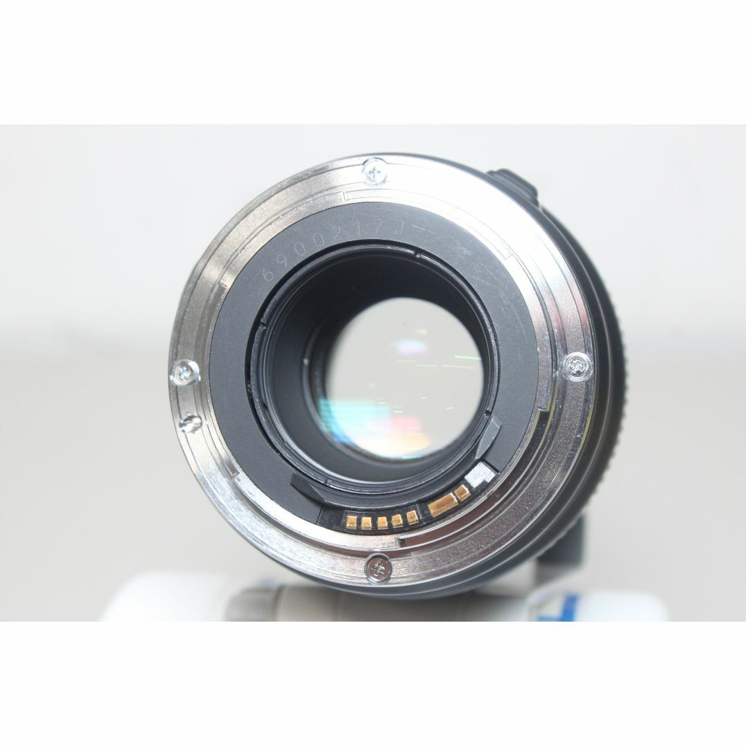 Canon/EF100mm F2.8 マクロ/望遠マクロレンズ ⑥ - レンズ Canon/EF100mm F2.8 マクロ/望遠マクロレンズ ⑥ - レンズ