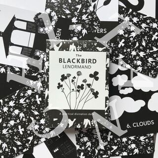 The BLACKBIRD LENORMAND ブラックバード ルノルマンカード(趣味/スポーツ/実用)