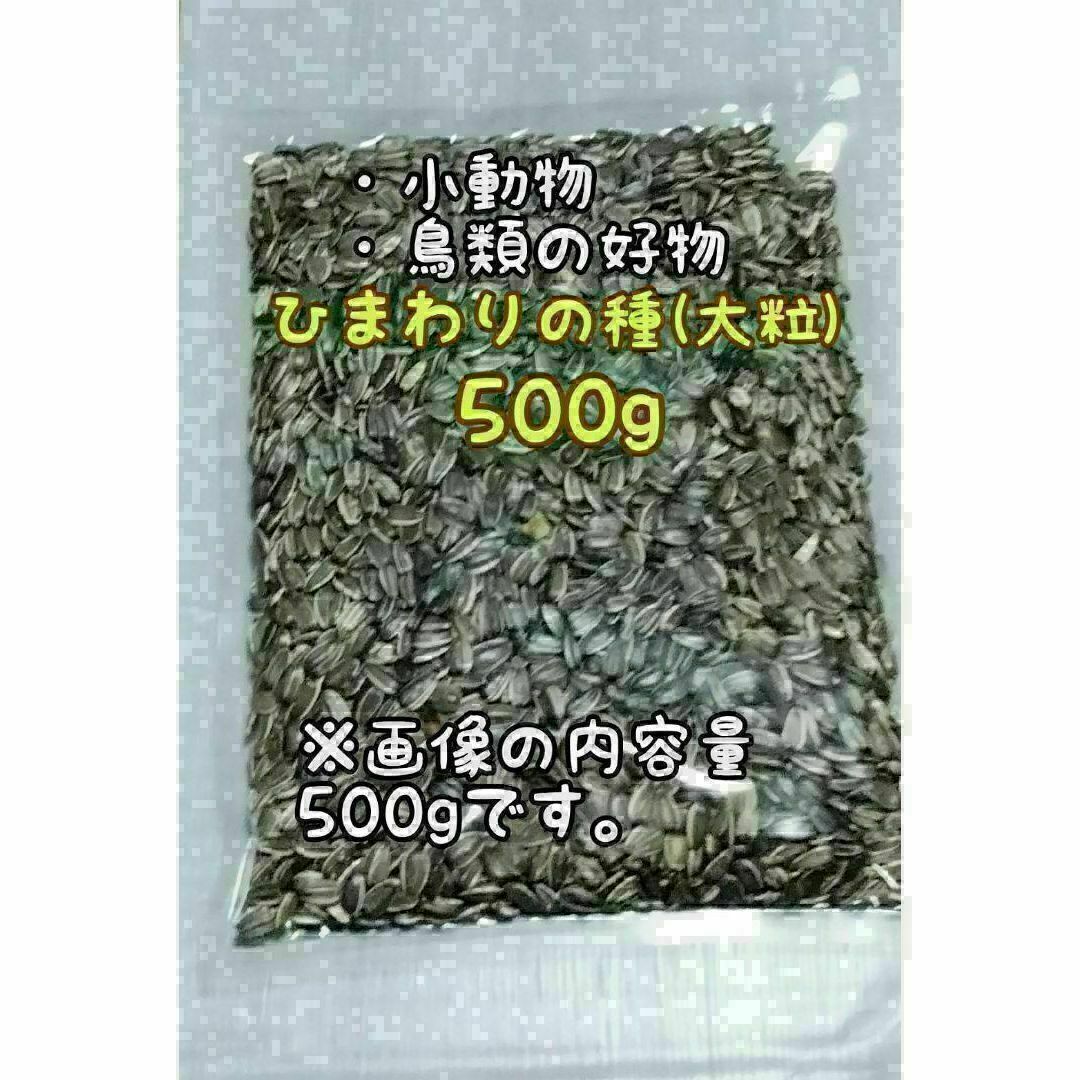 アメリカ産 ひまわりの種 500g 大粒 小動物 鳥類 ハムスターのおやつ その他のペット用品(アクアリウム)の商品写真