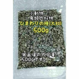 アメリカ産 ひまわりの種 500g 大粒 小動物 鳥類 ハムスターのおやつ