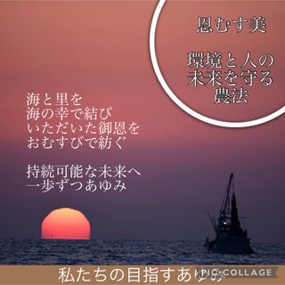 訳あり！！令和4年度産だて正夢10キロ(米/穀物)