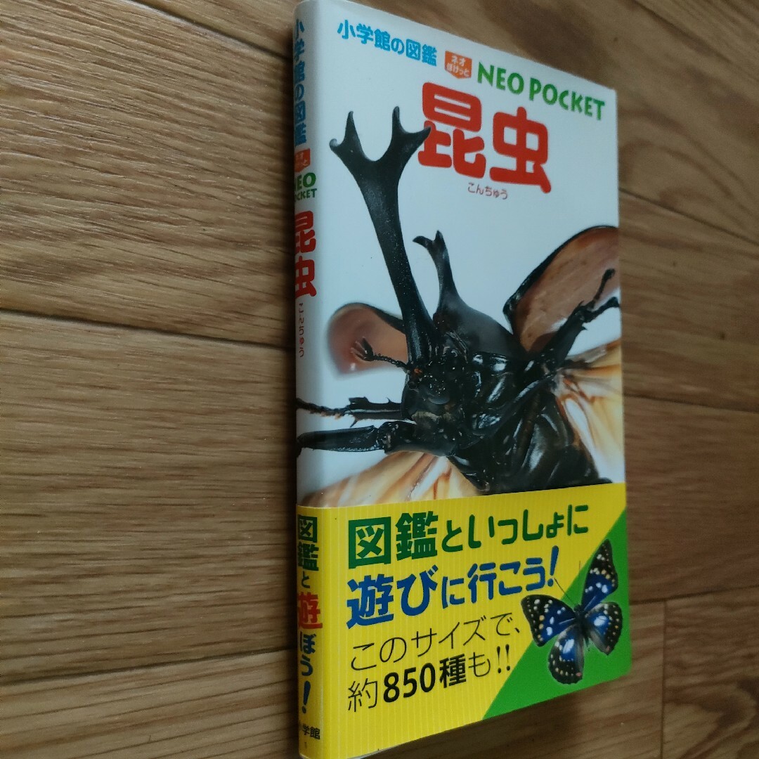 昆虫 エンタメ/ホビーの本(絵本/児童書)の商品写真