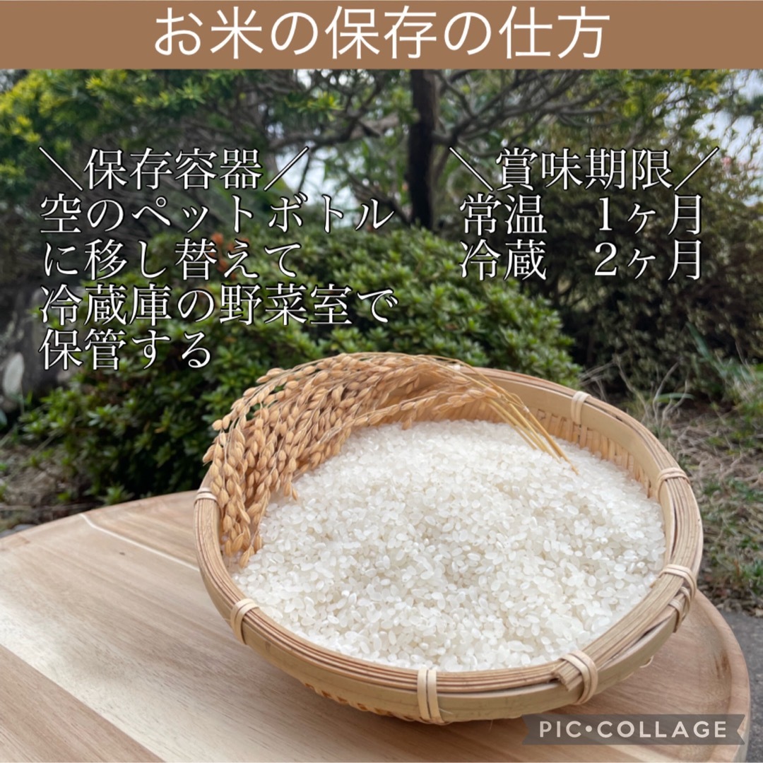 もっちり党にオススメ✳︎令和5年度産だて正夢10キロ 食品/飲料/酒の食品(米/穀物)の商品写真