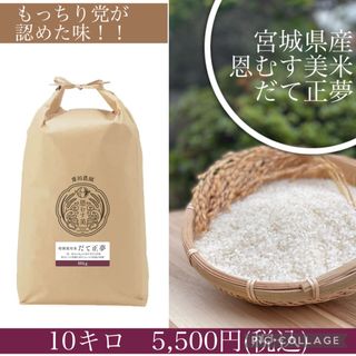 もっちり党にオススメ✳︎令和5年度産だて正夢10キロ(米/穀物)