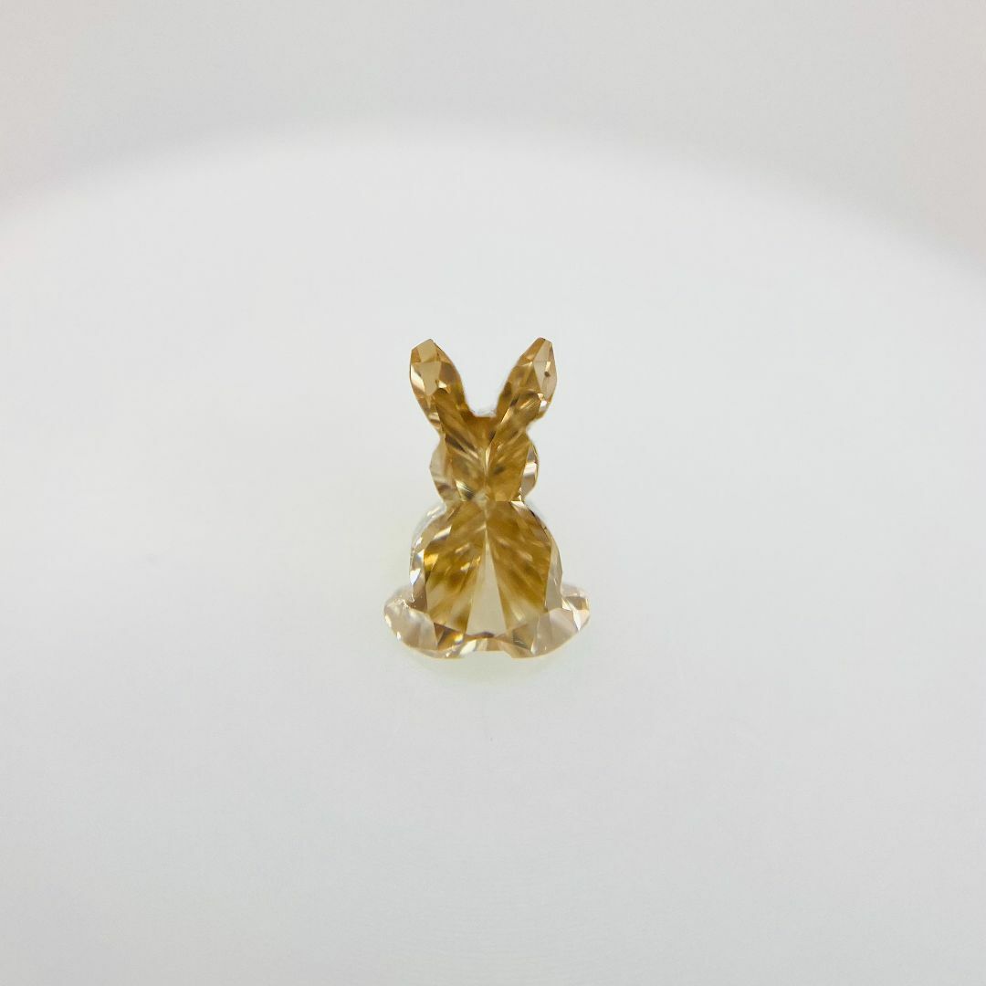 bunny！うさぎさん！VS2/0.663ct/RT2673/CGL レディースのアクセサリー(その他)の商品写真