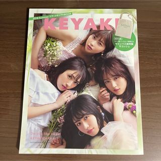 ケヤキザカフォーティーシックス(欅坂46(けやき坂46))のKEYAKI〜2018 Summer ツアーメモリアルBOOK〜(アイドルグッズ)