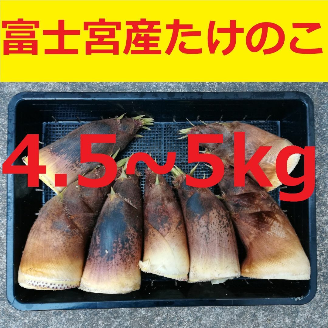 静岡県富士宮産たけのこ 5kg弱 無農薬 R505 食品/飲料/酒の食品(野菜)の商品写真