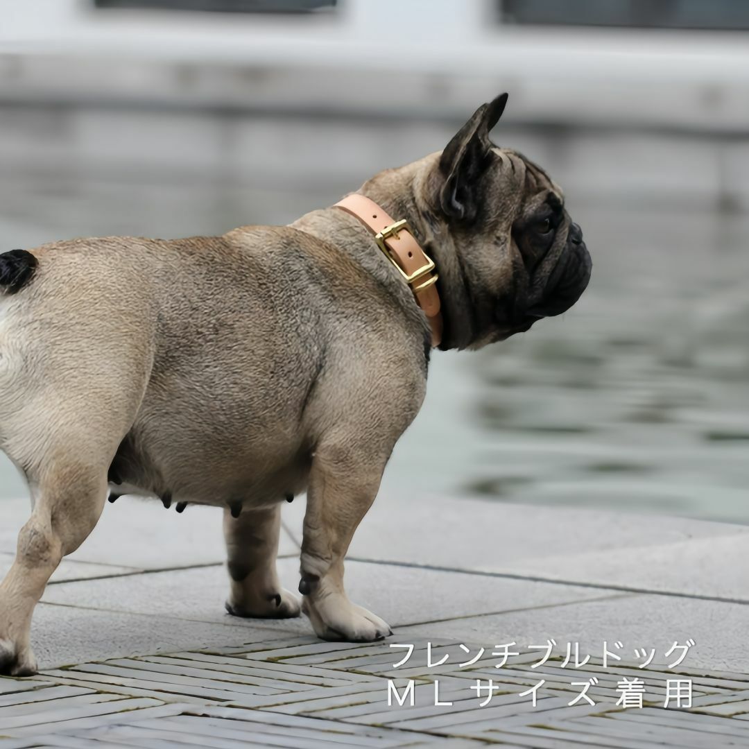 《新品. 未使用》犬の首輪イタリアンレザー シンプルな美しさ サイXXL その他のペット用品(犬)の商品写真