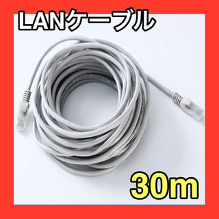 LANケーブル　30m　グレー　灰色　CAT5e 事務所　テナント　自宅(PC周辺機器)