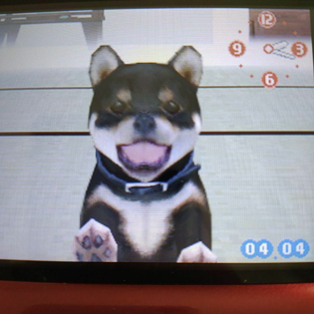 ニンテンドーDS(ニンテンドーDS)のnintendogs 柴＆フレンズ エンタメ/ホビーのゲームソフト/ゲーム機本体(携帯用ゲームソフト)の商品写真