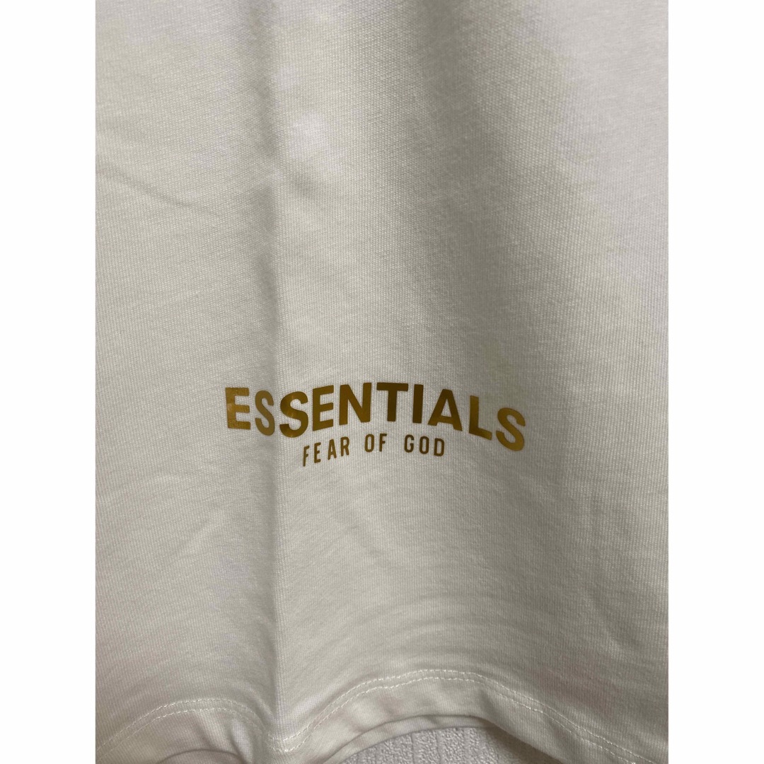 S.ESSENTIALS(エスエッセンシャルズ)のFOG ESSENTIALS エッセンシャルズ Tシャツ バックロゴ  L メンズのトップス(Tシャツ/カットソー(半袖/袖なし))の商品写真