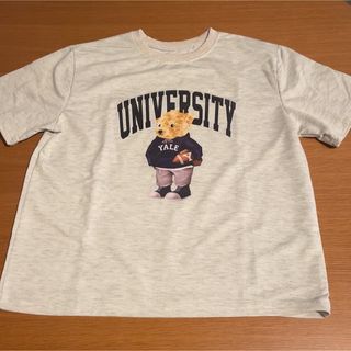 Tシャツ 熊