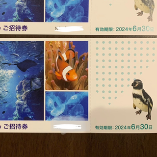 新江ノ島水族館　招待券　2枚