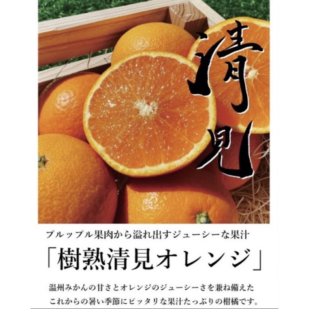 向日葵様専用!!和歌山県田辺産 清見オレンジ きよみ 清美 柑橘 蜜柑4.5kg 食品/飲料/酒の食品(フルーツ)の商品写真