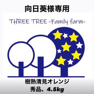 ②和歌山県田辺産 清見オレンジ きよみ 清美 柑橘 蜜柑 みかん  4.5kg(フルーツ)