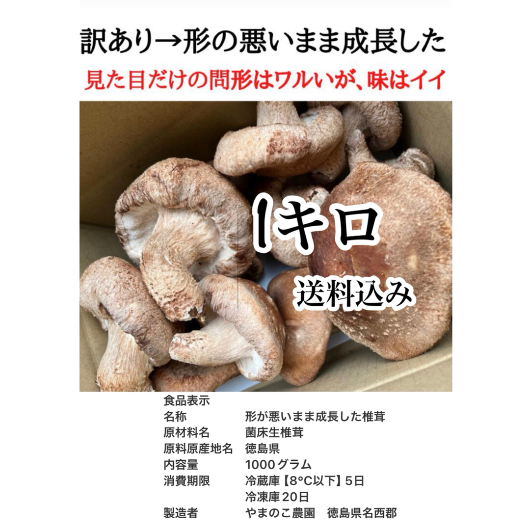 頑張って成長したが形が悪い徳島県産肉厚歯応えの良い椎茸さん1キロ送料込み 食品/飲料/酒の食品(野菜)の商品写真