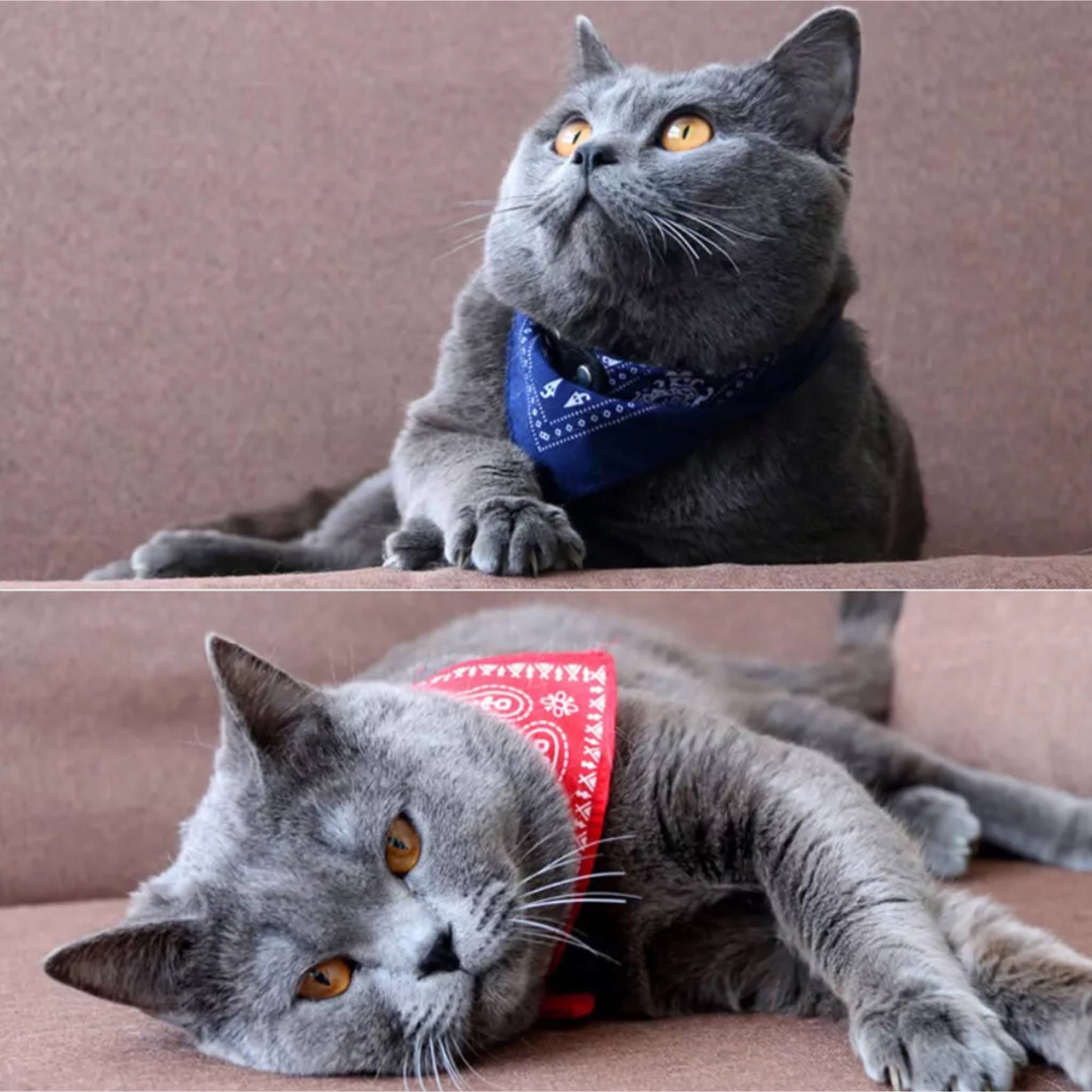 G14【新品】犬 猫 バンダナ 首輪 スカーフ コスプレ ねこ 服 赤 青 黒 その他のペット用品(猫)の商品写真