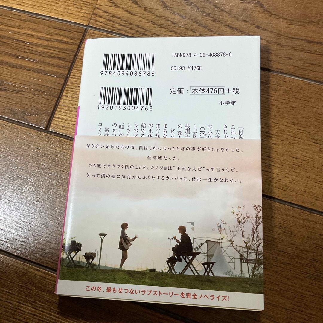 小学館(ショウガクカン)の小説カノジョは嘘を愛しすぎてる　豊田美加　⭐︎ エンタメ/ホビーの本(その他)の商品写真