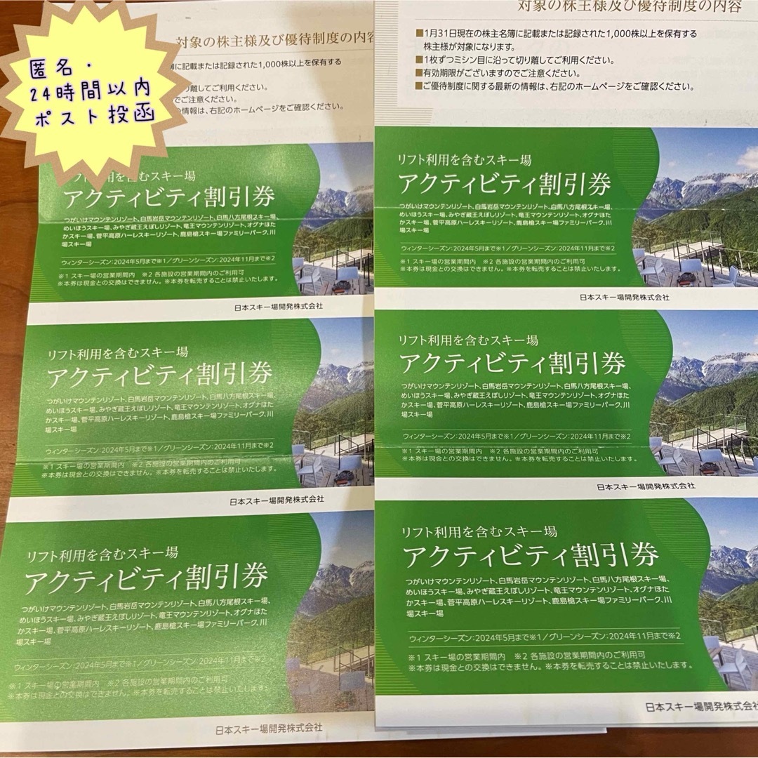 【匿名24時間以内発送】日本駐車場開発　株主優待 2冊 チケットの施設利用券(スキー場)の商品写真