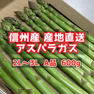 信州産　アスパラガス　2L〜3L  600g(野菜)