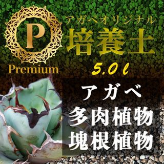 アガベ土☆オリジナル培養土Premium5㍑（アガベ各種サボテン多肉植物の土）(その他)