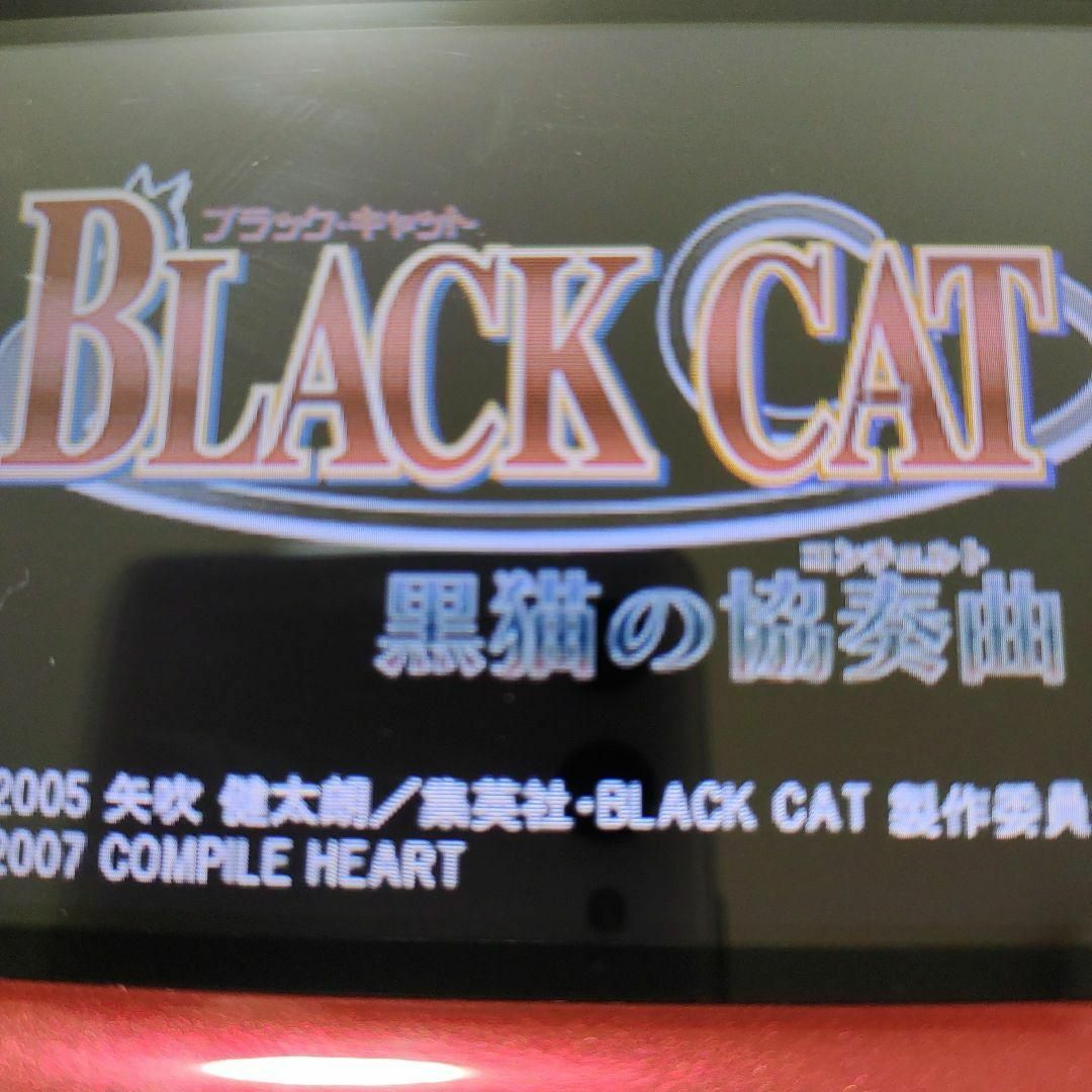 ニンテンドーDS(ニンテンドーDS)のBLACK CAT 黒猫の協奏曲 エンタメ/ホビーのゲームソフト/ゲーム機本体(携帯用ゲームソフト)の商品写真