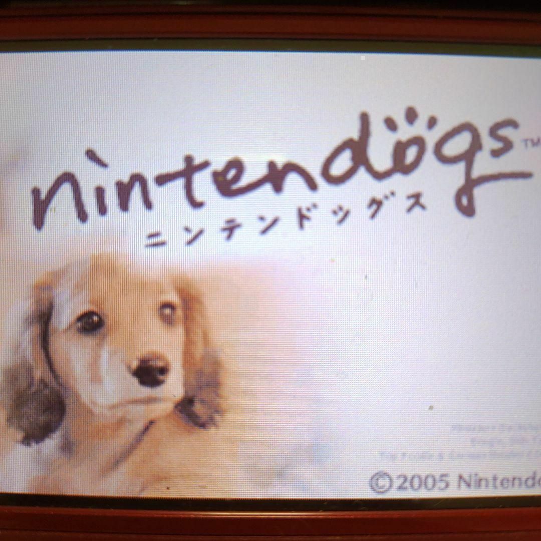 ニンテンドーDS(ニンテンドーDS)のnintendogs ダックス＆フレンズ エンタメ/ホビーのゲームソフト/ゲーム機本体(携帯用ゲームソフト)の商品写真