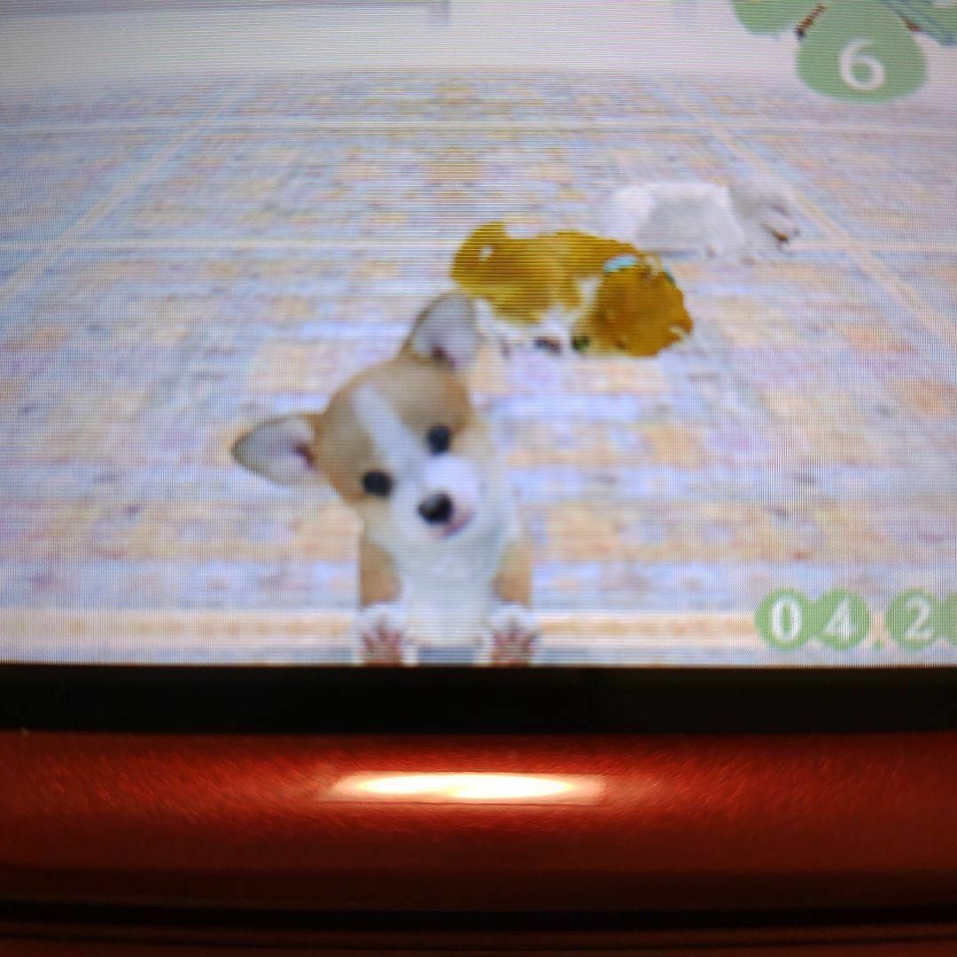 ニンテンドーDS(ニンテンドーDS)のnintendogs ダックス＆フレンズ エンタメ/ホビーのゲームソフト/ゲーム機本体(携帯用ゲームソフト)の商品写真