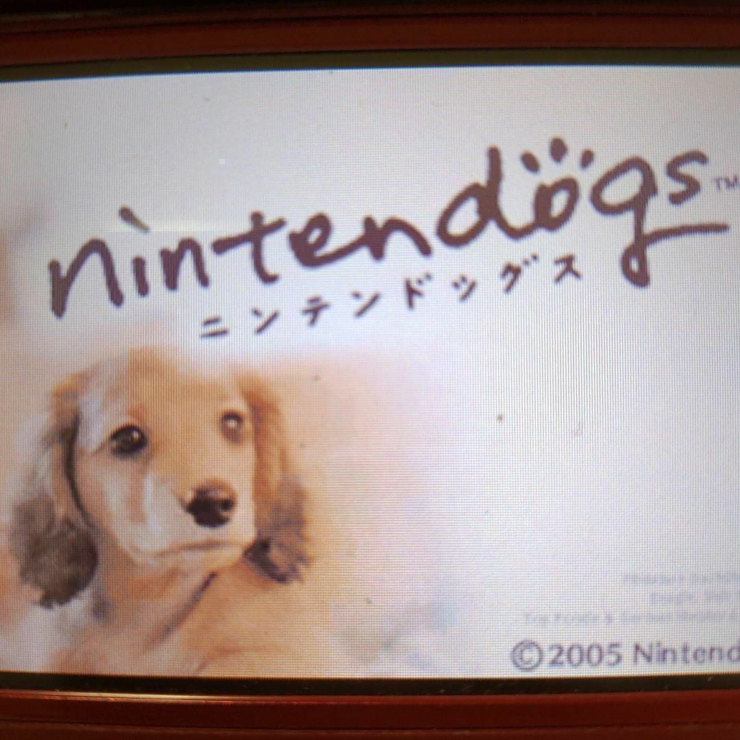 ニンテンドーDS(ニンテンドーDS)のnintendogs ダックス＆フレンズ エンタメ/ホビーのゲームソフト/ゲーム機本体(携帯用ゲームソフト)の商品写真