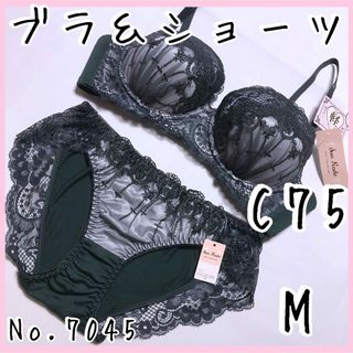 ブラジャーショーツセットC75    No.7045(ブラ&ショーツセット)