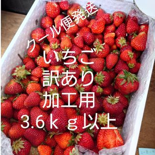 いちご　訳あり　加工用　3.6ｋｇ(フルーツ)