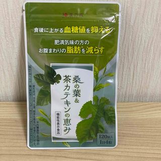 ワカンノモリ(和漢の森)の和漢の森　桑の葉&茶カテキンの恵み 120粒入×1袋  (ダイエット食品)