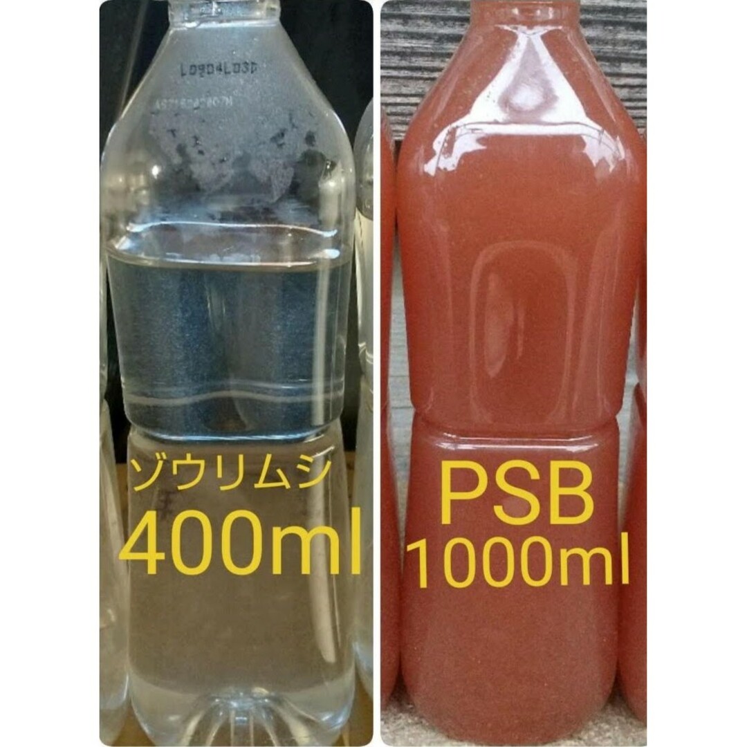ゾウリムシ　400ml&　PSB(光合成細菌)1000ml。メダカ　金魚 その他のペット用品(その他)の商品写真