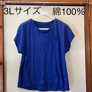 PARK GIRL レディース　半袖Tシャツ　ゆったりTシャツ　3Lサイズ(Tシャツ(半袖/袖なし))