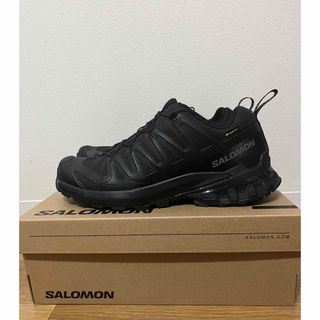 サロモン(SALOMON)のXA PRO 3D V9 GORE-TEX SALOMON (スニーカー)