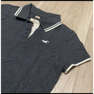 ホリスター(Hollister)のホリスターグレーコットンカノコポロ(ポロシャツ)