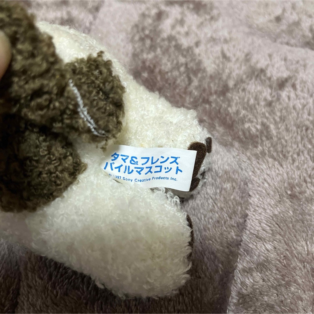 タマ　ぬいぐるみ エンタメ/ホビーのおもちゃ/ぬいぐるみ(ぬいぐるみ)の商品写真