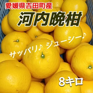 愛媛県産★農家直送★河内晩柑 8キロ(フルーツ)