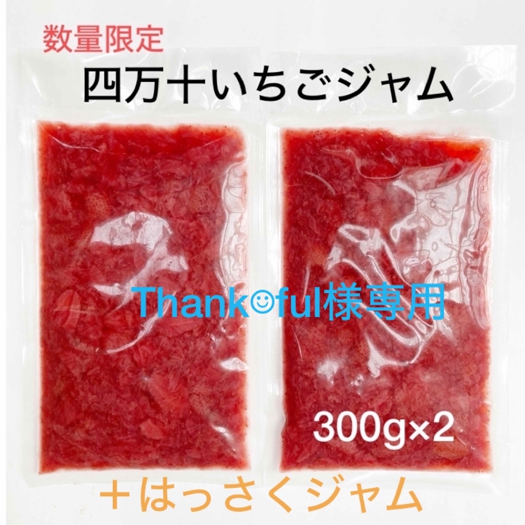 【残り3セットで完売！！】四万十いちごジャム(300g×2パック) 食品/飲料/酒の食品(菓子/デザート)の商品写真