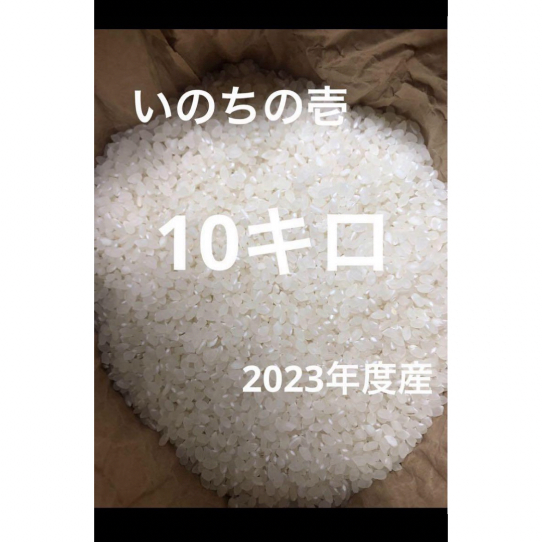 信州産　お米　いのちの壱　10キロ　うるち米 食品/飲料/酒の食品(米/穀物)の商品写真