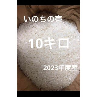 信州産　お米　いのちの壱　10キロ　うるち米(米/穀物)